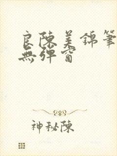 良陈美锦笔趣阁无弹窗