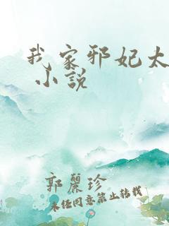 我家邪妃太嚣张 小说
