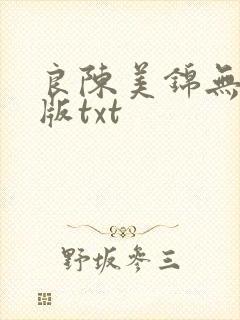良陈美锦无删减版txt