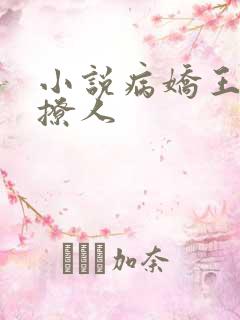 小说病娇王爷太撩人