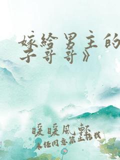 嫁给男主的病秧子哥哥》