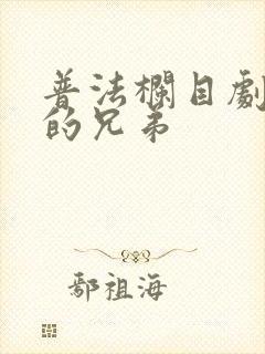 普法栏目剧丈夫的兄弟