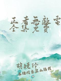 正者无敌电视剧全集免费