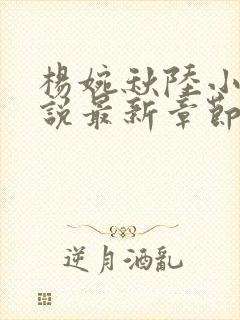 杨婉秋陆小伟小说最新章节在线阅读