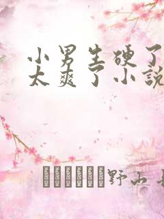 小男生硬了进去太爽了小说
