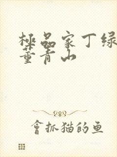 极品家丁绿帽版董青山