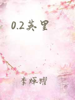 0.2英里
