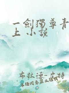 一剑独尊青鸾峰上 小说