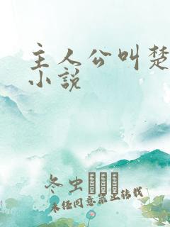 主人公叫楚云的小说