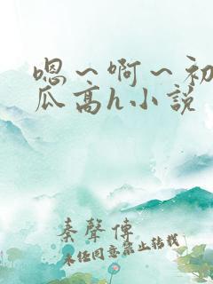 嗯～啊～初次破瓜高h小说