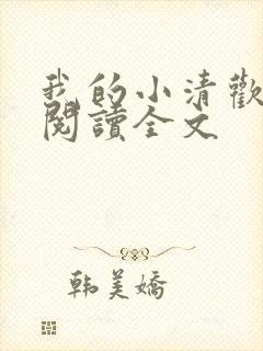 我的小清欢在线阅读全文