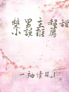 双男主超甜宠文小说推荐