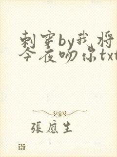 刺穿by我将在今夜吻你txt免费阅读