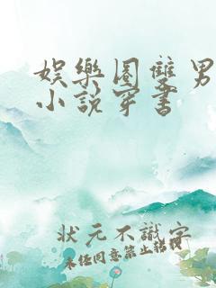 娱乐圈双男主的小说穿书
