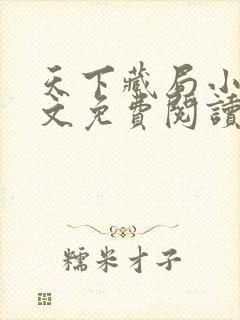 天下藏局小说原文免费阅读