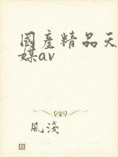 国产精品天美传媒av