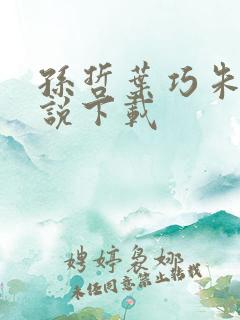 孙哲叶巧朱颜小说下载