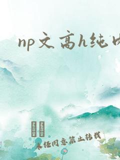 np文高h纯肉