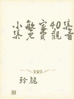 小敏家40集全集免费观看