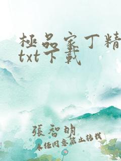 极品家丁精校版txt下载