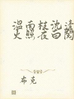 温南枝沈清宴烟火照夜白阅读全文