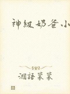 神级奶爸小说