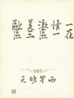 欧美激情一区二区三区一在线