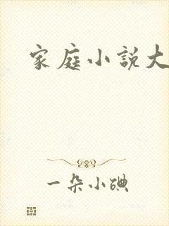 家庭小说大杂烩