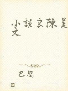 小说良陈美锦全文