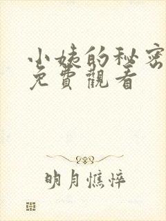 小姨的秘密在线免费观看