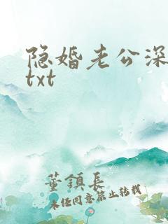 隐婚老公深夜来txt