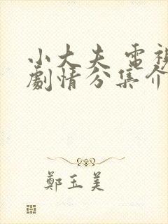 小大夫 电视剧剧情分集介绍