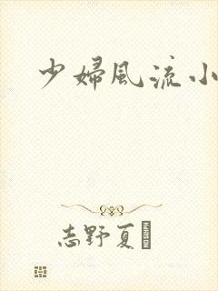 少妇风流小说网