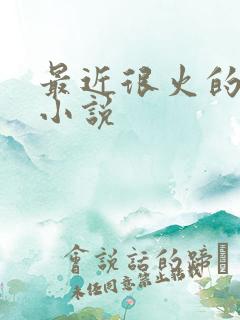最近很火的海贼小说