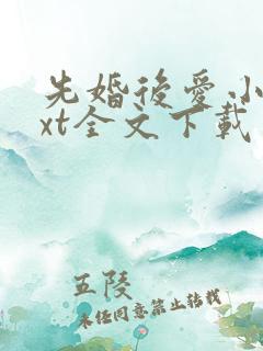 先婚后爱小说txt全文下载