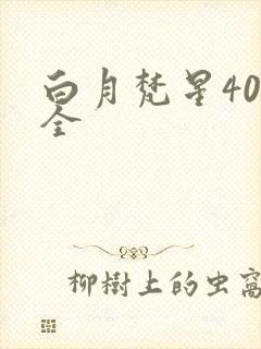 白月梵星40集全
