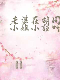 老婆在胡同里扮小姐小说叫什么