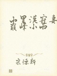 山里汉宠妻无度巅峰小雨