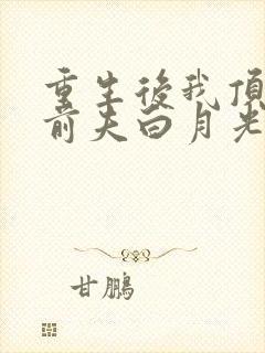重生后我顶替了前夫白月光免费阅读全
