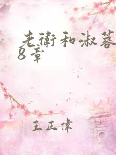 老卫和淑蓉328章