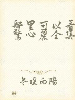 哪里可以看步步惊心丽全集