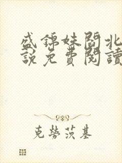 盛锦姝阎北铮小说免费阅读全文
