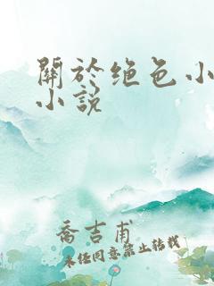 关于绝色小姨的小说