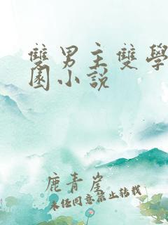 双男主双学霸校园小说