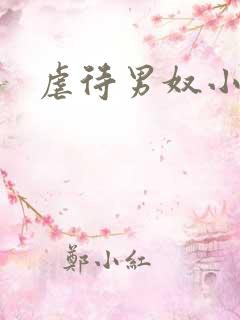 虐待男奴小说