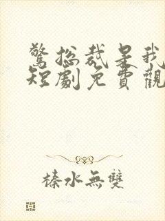 惊总裁是我老公短剧免费观看