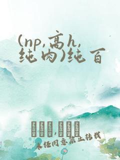 (np,高h,纯肉)纯百