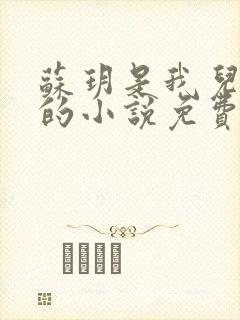 苏玥是我儿媳妇的小说免费阅读