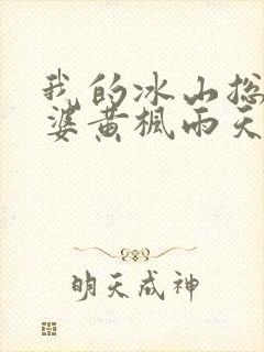 我的冰山总裁老婆黄枫雨天 小说