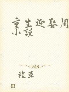 重生迎娶周婉的小说